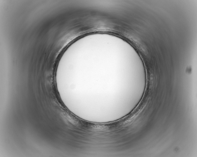 X0000093381170200711011243