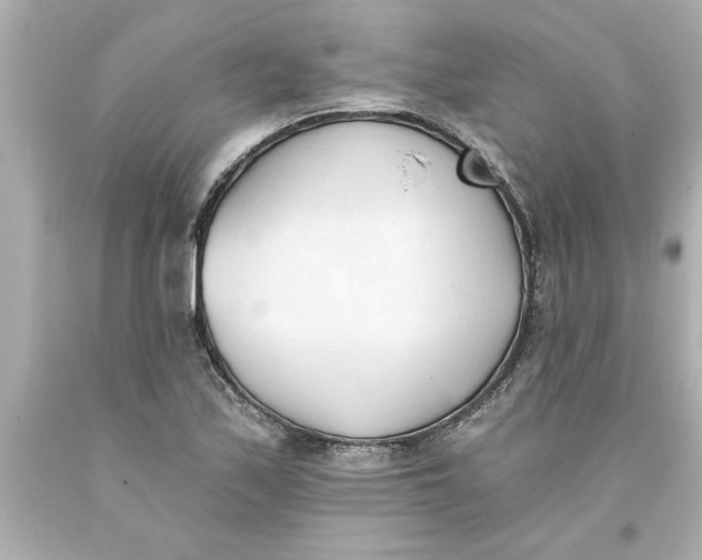 X0000093381171200711011243