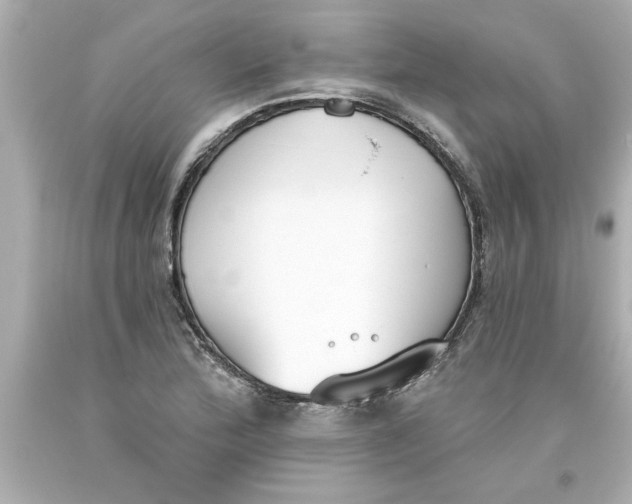 X0000093381172200711011243