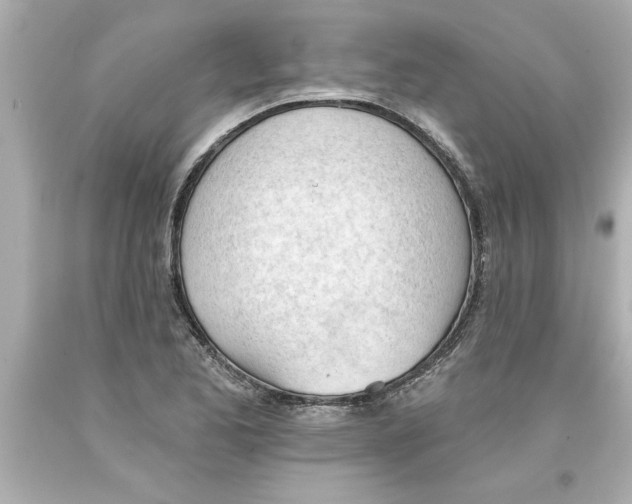 X0000093381173200711011243