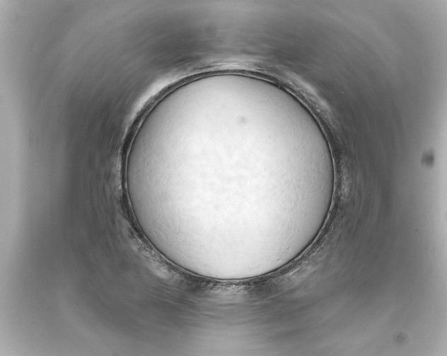 X0000093381174200711011243