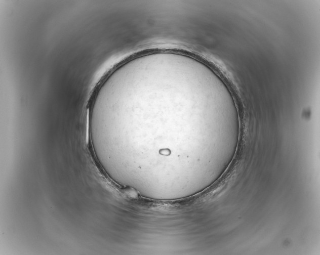 X0000093381175200711011243