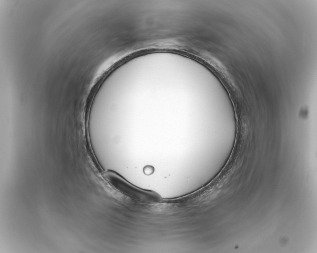 X0000093381176200711011243