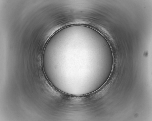 X0000093381177200711011243