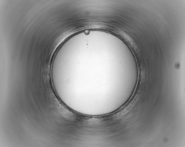 X0000093381178200711011243