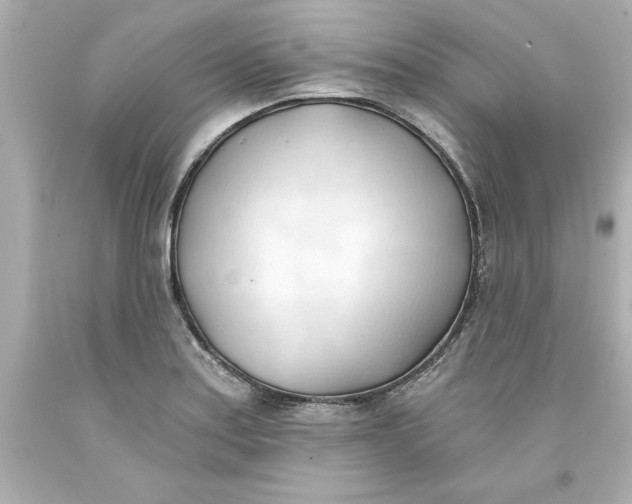 X0000093381179200711011243