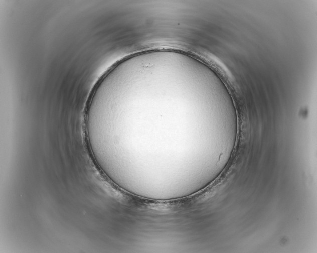 X0000093381182200711011243