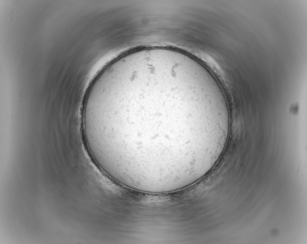 X0000093381183200711011243