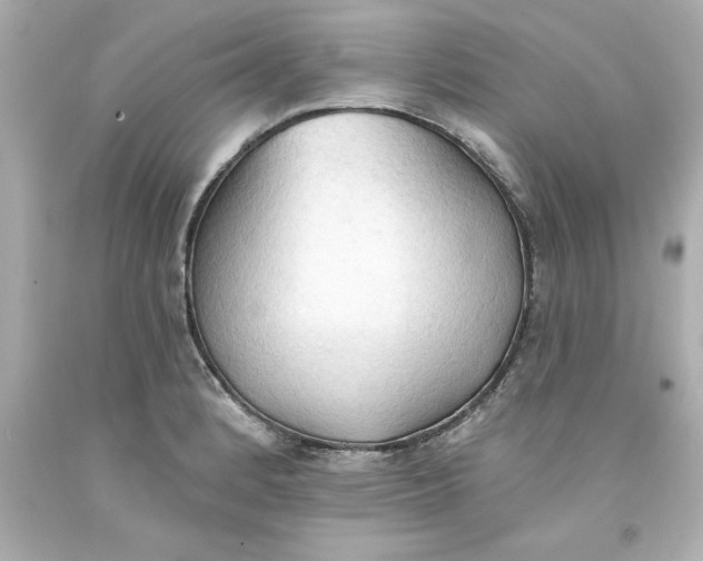 X0000093381184200711011243