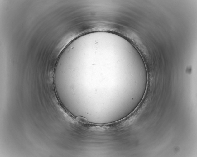 X0000093381185200711011243