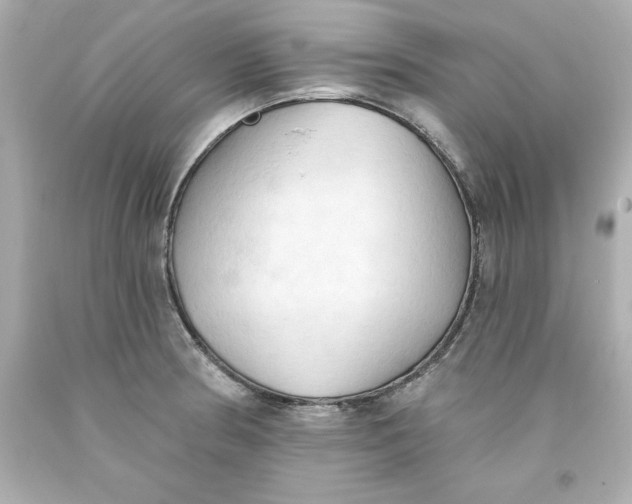 X0000093381186200711011243