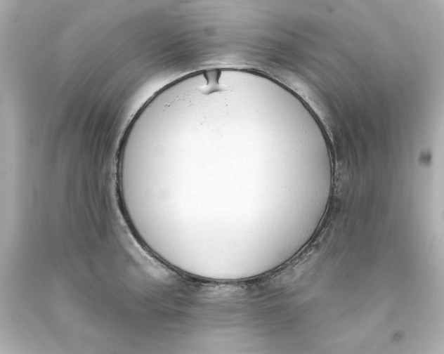 X0000093381187200711011243