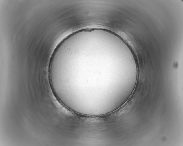 X0000093381189200711011243