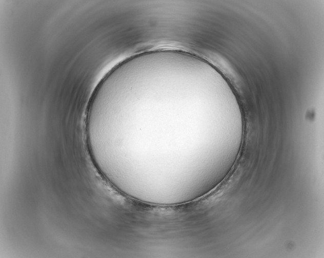 X0000093381190200711011243