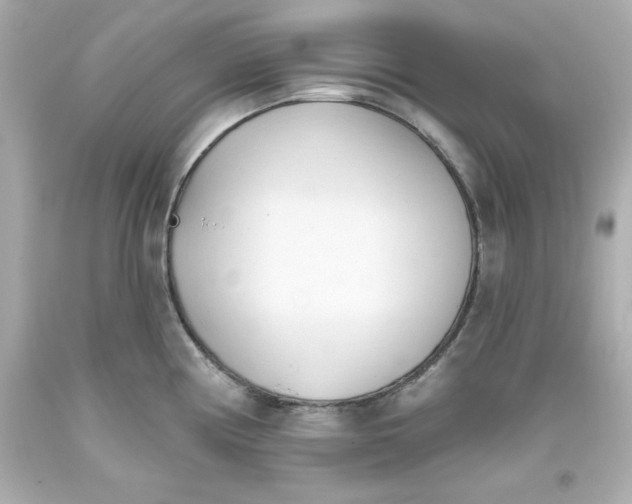 X0000093381194200711011243