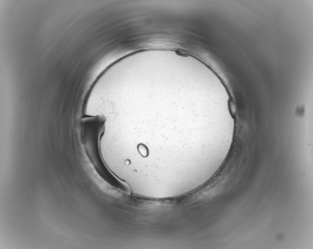 X0000093381195200711011243