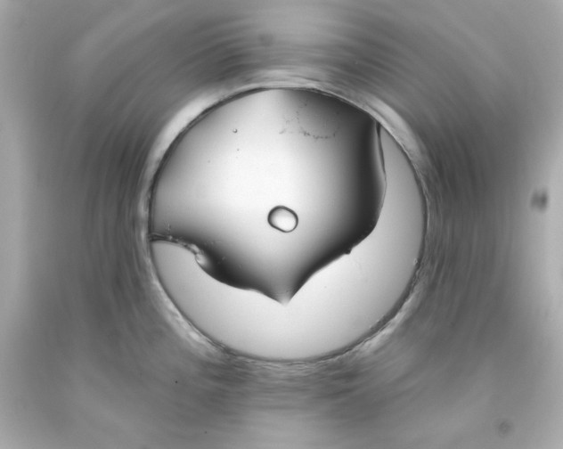 X0000093381196200711011243