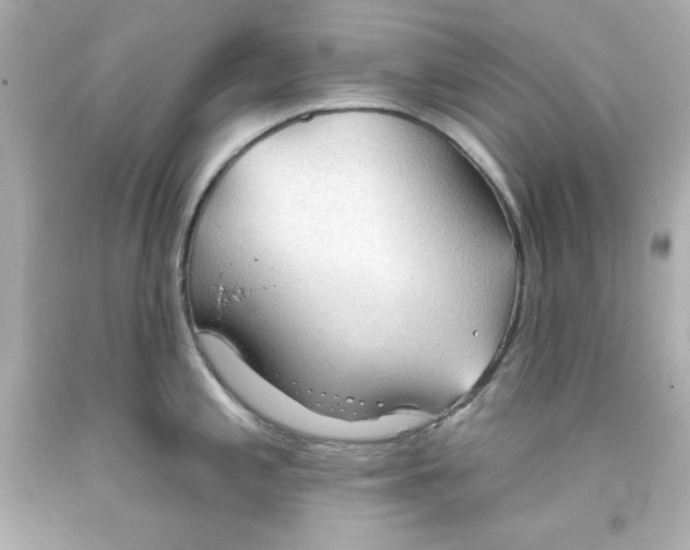 X0000093381197200711011243