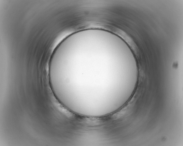 X0000093381198200711011243