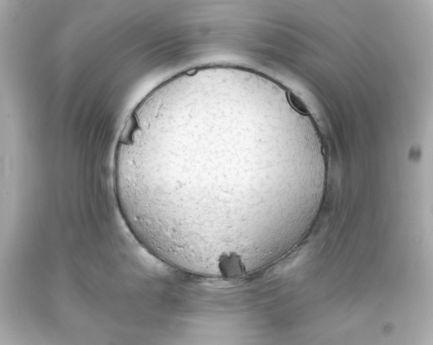 X0000093381199200711011243