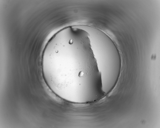 X0000093381200200711011243