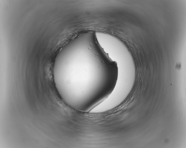 X0000093381202200711011242