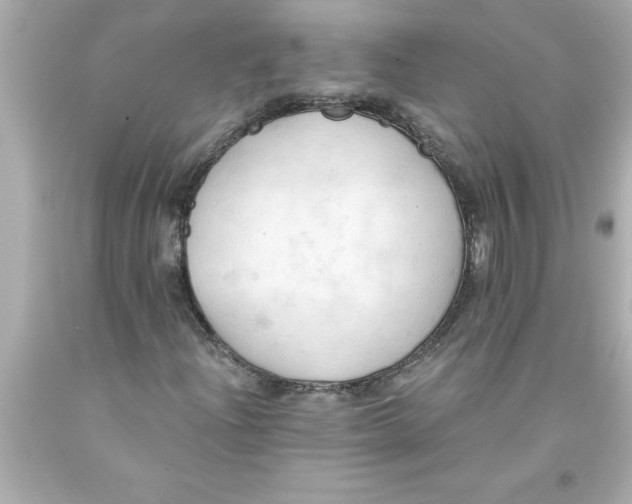 X0000093381204200711011242