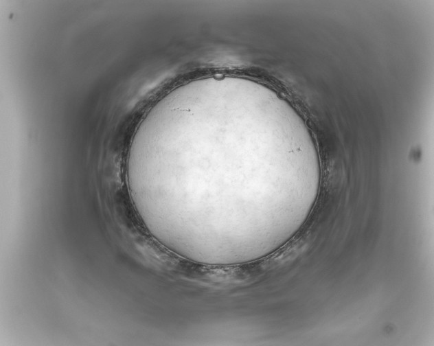 X0000093381205200711011242