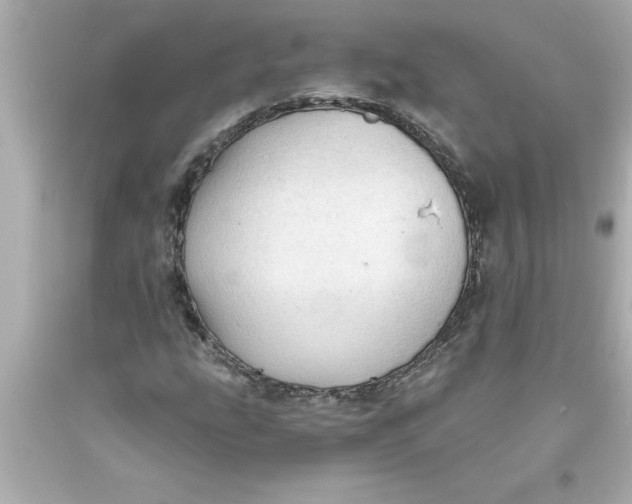 X0000093381207200711011242