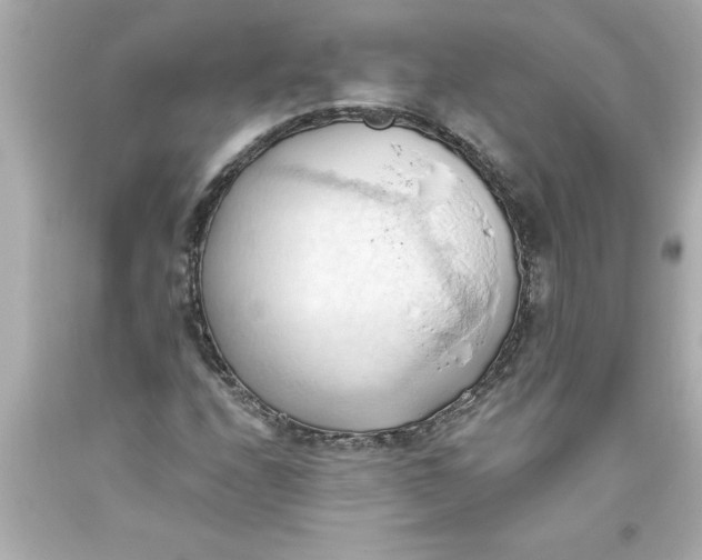 X0000093381208200711011242