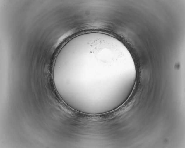 X0000093381210200711011242