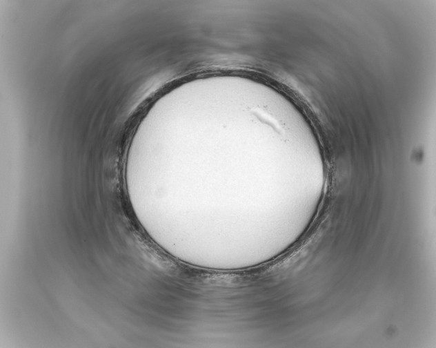 X0000093381211200711011242