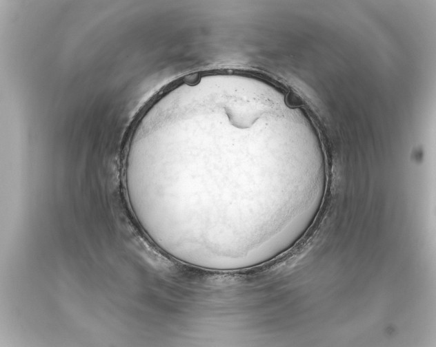 X0000093381212200711011243