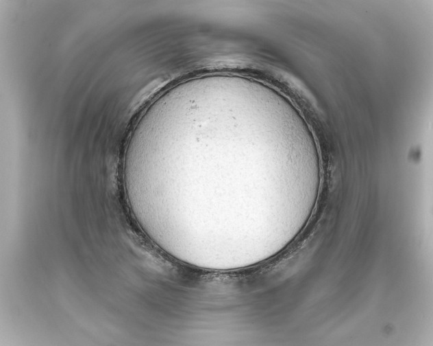 X0000093381217200711011243