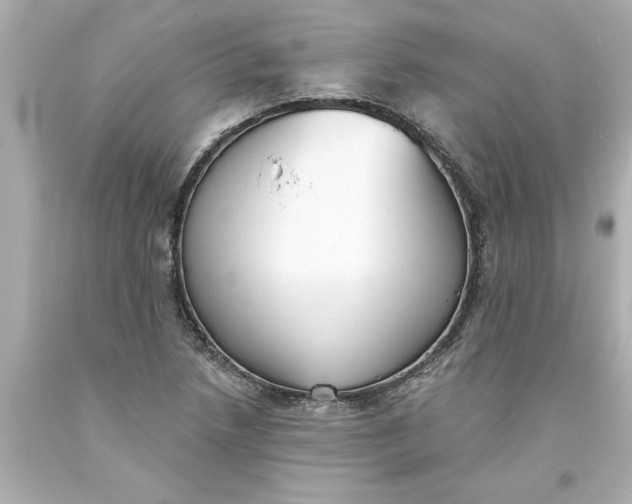 X0000093381218200711011243