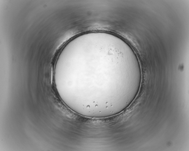 X0000093381219200711011243