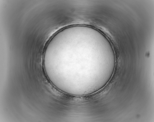 X0000093381220200711011243