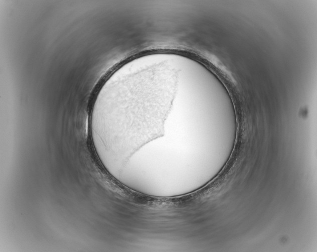 X0000093381221200711011243