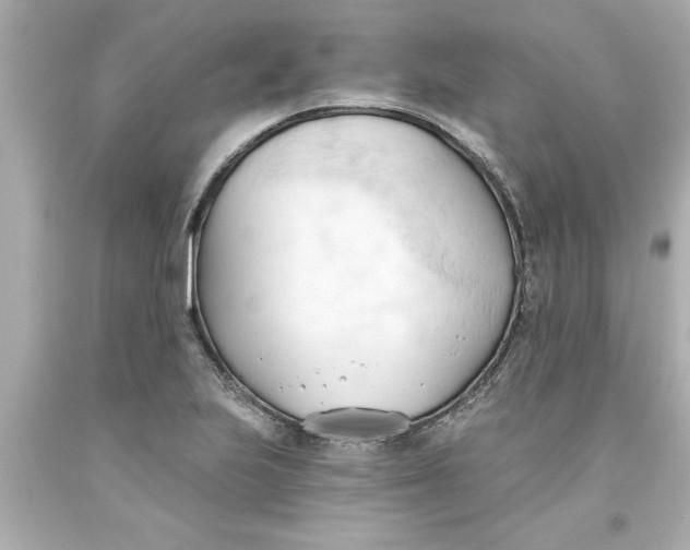 X0000093381223200711011243