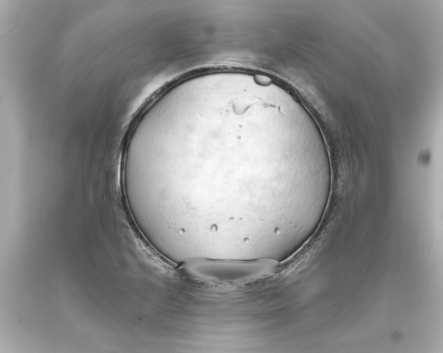 X0000093381224200711011243