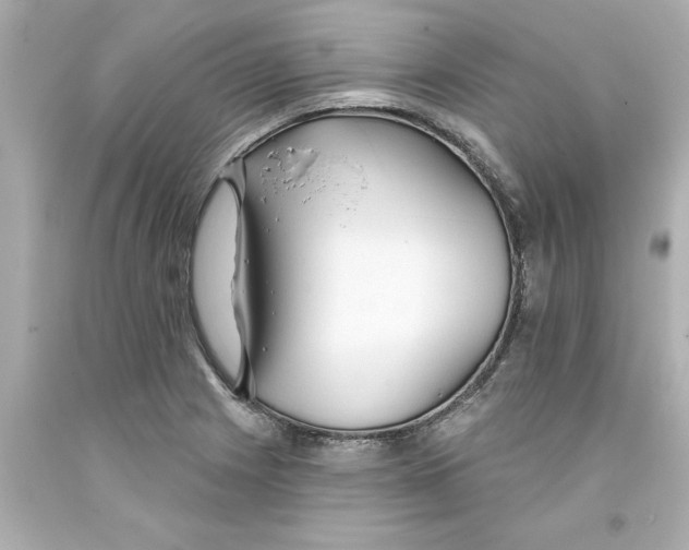 X0000093381225200711011243