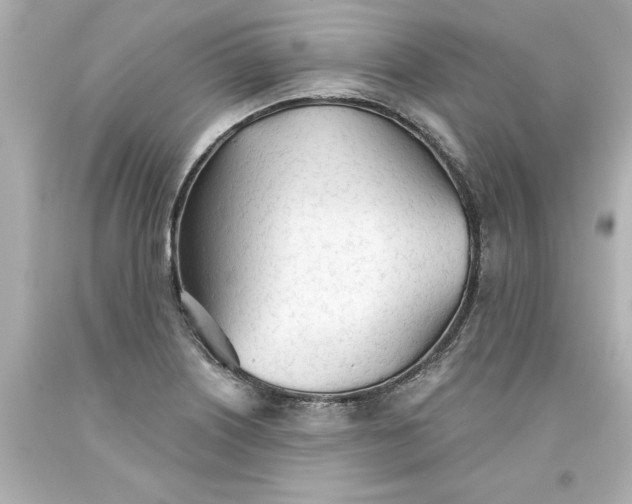 X0000093381226200711011243