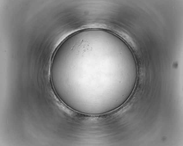 X0000093381228200711011243