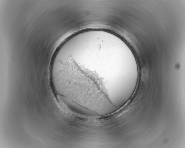 X0000093381229200711011243