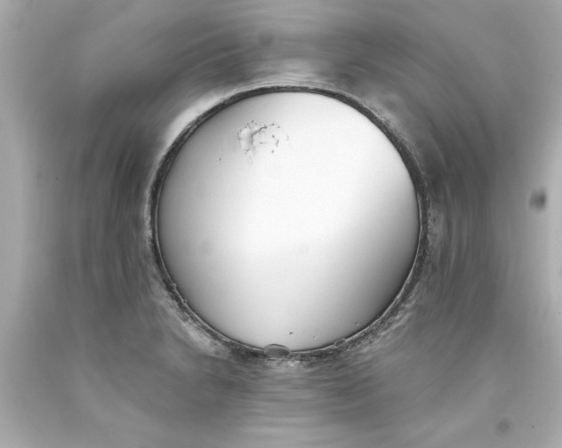 X0000093381230200711011243