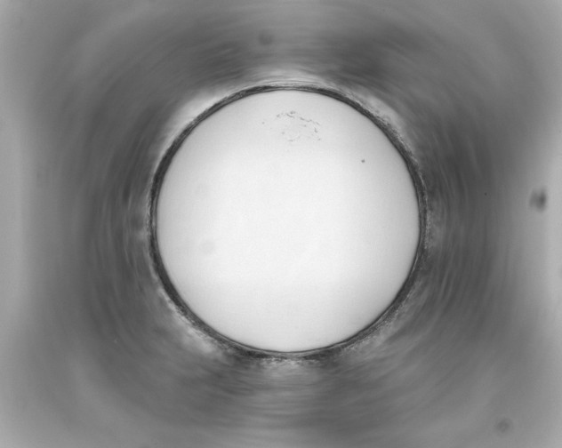 X0000093381231200711011243