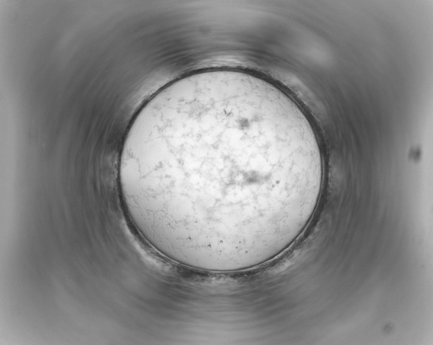 X0000093381233200711011243