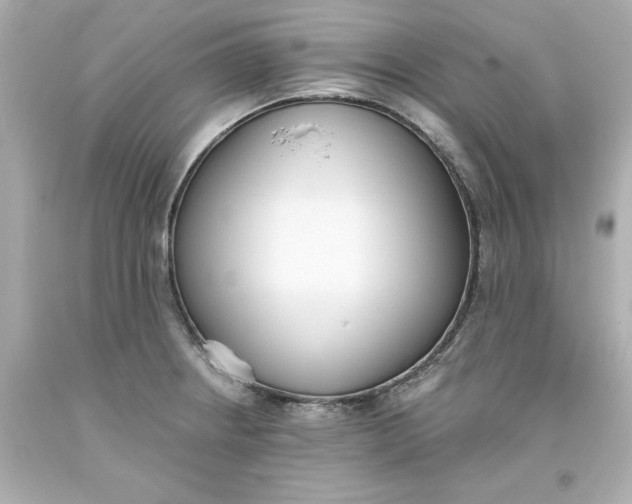 X0000093381234200711011243