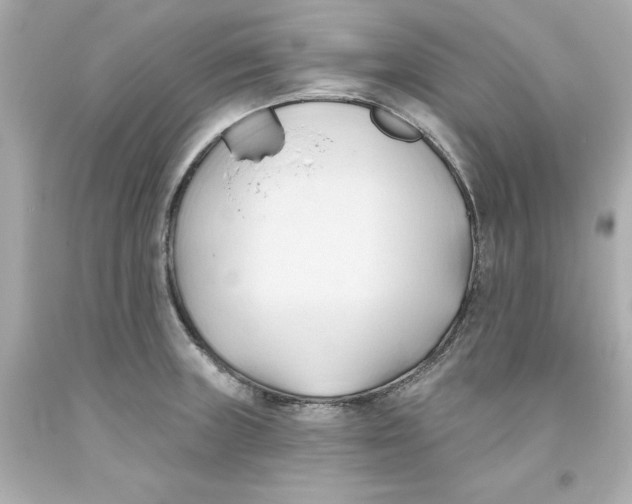 X0000093381235200711011243