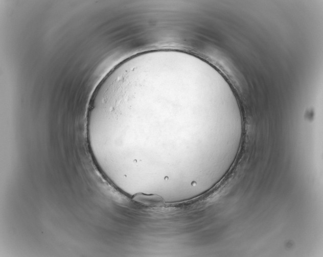 X0000093381236200711011243